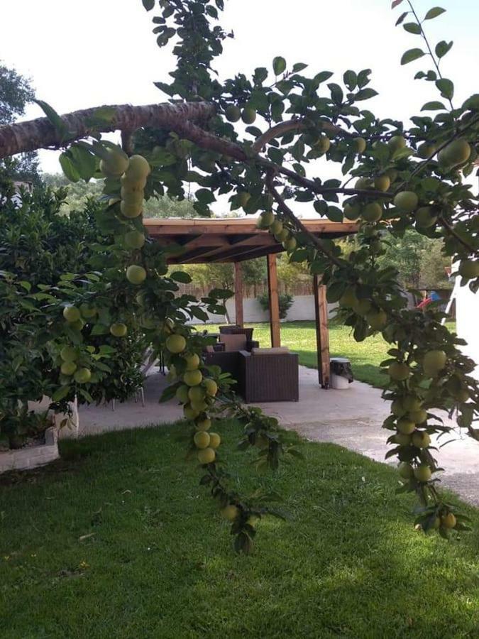 Villa Thanos Marathiás Extérieur photo